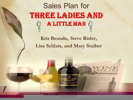 Kris Beaudo, Steve Risler, Lisa Schlais, and Mary Stuiber Three Ladies and a Little Man Sales Plan for Three Ladies and a Little Man.