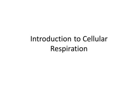 Introduction to Cellular Respiration. Your combustion engine Energy used by living things comes in the form of chemical energy Organisms are ultimately.
