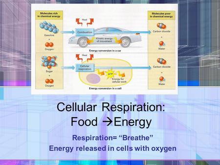 Cellular Respiration: Food  Energy Respiration= “Breathe” Energy released in cells with oxygen.