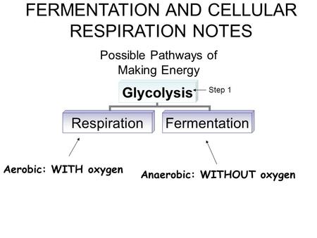 Possible Pathways of Making Energy Anaerobic: WITHOUT oxygen Aerobic: WITH oxygen Step 1 FERMENTATION AND CELLULAR RESPIRATION NOTES.