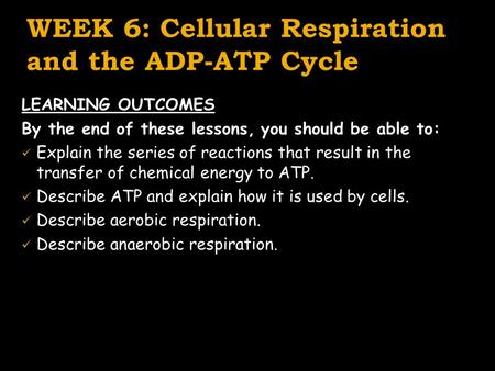 WEEK 6: Cellular Respiration and the ADP-ATP Cycle LEARNING OUTCOMES By the end of these lessons, you should be able to: Explain the series of reactions.
