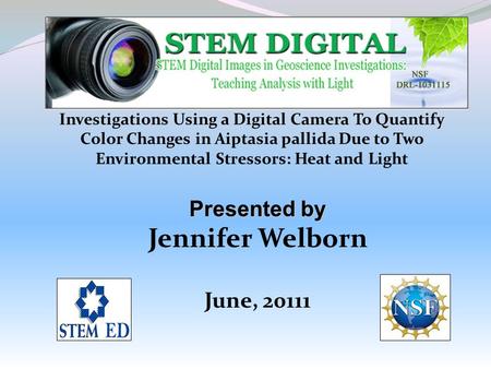 Investigations Using a Digital Camera To Quantify Color Changes in Aiptasia pallida Due to Two Environmental Stressors: Heat and Light Presented by Jennifer.