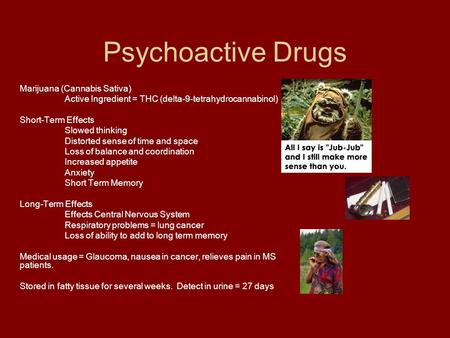 Psychoactive Drugs Marijuana (Cannabis Sativa) Active Ingredient = THC (delta-9-tetrahydrocannabinol) Short-Term Effects Slowed thinking Distorted sense.