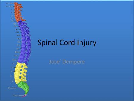 Spinal Cord Injury Jose’ Dempere What is a Spinal Cord Injury? Simply put, anything that damages the spinal cord, the bunch of nerves protected by your.