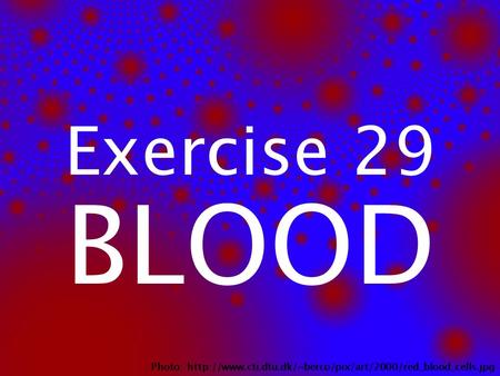Exercise 29 BLOOD Photo: