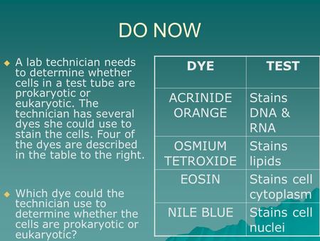 DO NOW DYE TEST ACRINIDE ORANGE Stains DNA & RNA OSMIUM TETROXIDE