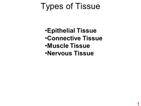 Types of Tissue Epithelial Tissue Connective Tissue Muscle Tissue