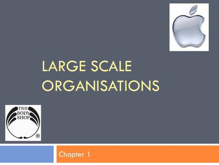 LARGE SCALE ORGANISATIONS Chapter 1. Characteristics of LSOs  Number of employees >200  Total Assets >$200 million  Annual Sales Revenue – in the millions.