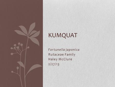 Fortunella japonica Rutaceae Family Haley McClure 2/27/13