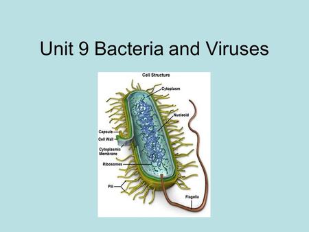 Unit 9 Bacteria and Viruses