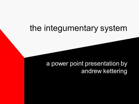 The integumentary system a power point presentation by andrew kettering.