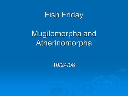 Fish Friday Mugilomorpha and Atherinomorpha 10/24/08.