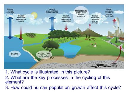 1. What cycle is illustrated in this picture?