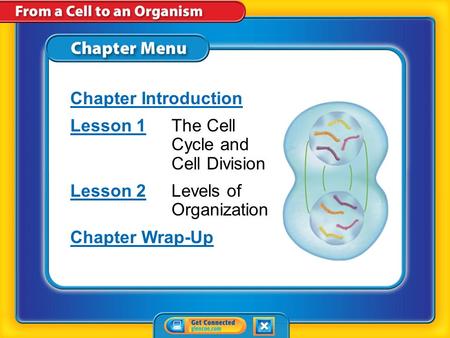 Chapter Menu Chapter Introduction Lesson 1Lesson 1The Cell Cycle and Cell Division Lesson 2Lesson 2Levels of Organization Chapter Wrap-Up.
