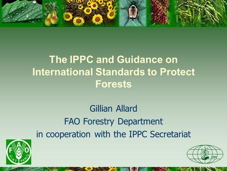 The IPPC and Guidance on International Standards to Protect Forests Gillian Allard FAO Forestry Department in cooperation with the IPPC Secretariat.