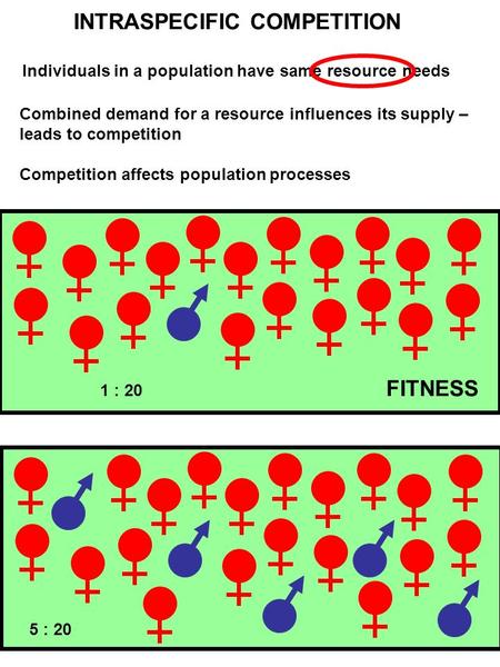 INTRASPECIFIC COMPETITION Individuals in a population have same resource needs Combined demand for a resource influences its supply – leads to competition.