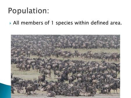  All members of 1 species within defined area..  Distribution is often determined by needs of the organisms (food, water, mates, shelter, etc..)