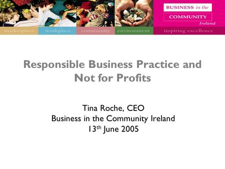 Responsible Business Practice and Not for Profits Tina Roche, CEO Business in the Community Ireland 13 th June 2005.