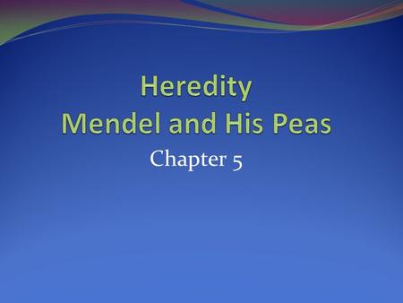 Chapter 5. Heredity: the passing of traits from parents to offspring. Example: you might have curly hair, while both of your parents have straight hair.