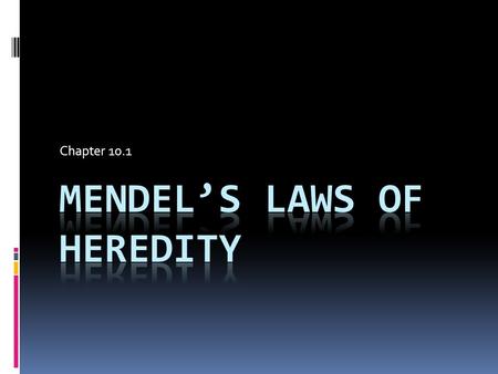 Mendel’s Laws of heredity