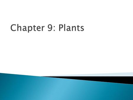 Chapter 9: Plants.