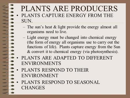 PLANTS ARE PRODUCERS PLANTS CAPTURE ENERGY FROM THE SUN. –The sun’s heat & light provide the energy almost all organisms need to live. –Light energy must.