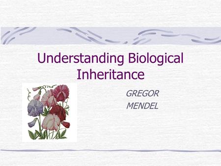 Understanding Biological Inheritance GREGOR MENDEL.