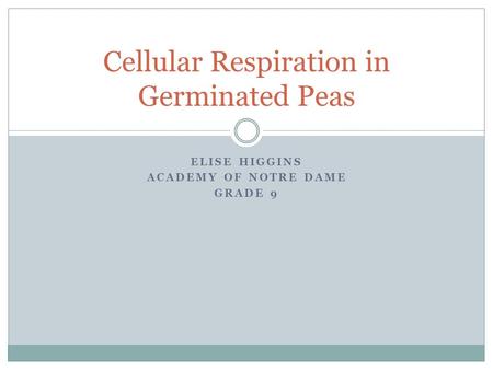ELISE HIGGINS ACADEMY OF NOTRE DAME GRADE 9 Cellular Respiration in Germinated Peas.