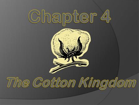 Chapter 4 The Cotton Kingdom