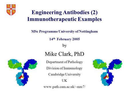 Engineering Antibodies (2) Immunotherapeutic Examples MSc Programme University of Nottingham 14 th February 2005 by Mike Clark, PhD Department of Pathology.