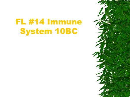 FL #14 Immune System 10BC. Antigen- binding sites Antigen Antibody Section 40- 2 Figure 40–8 Structure of an Antibody bacterium The bacterium is an antigen.
