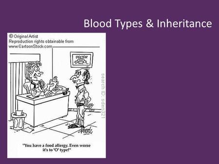 Blood Types & Inheritance