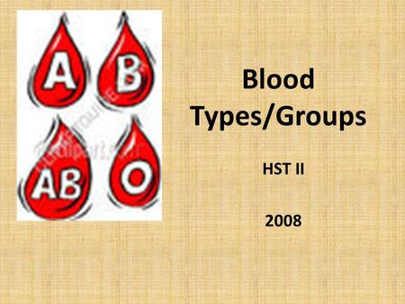 Blood Types/Groups HST II 2008.