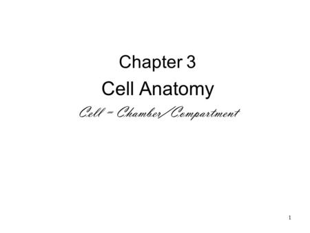 Chapter 3 Cell Anatomy Cell = Chamber/Compartment