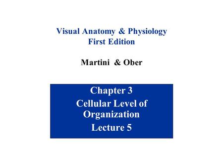 Visual Anatomy & Physiology First Edition Martini & Ober