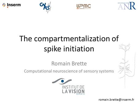 Romain Brette Computational neuroscience of sensory systems The compartmentalization of spike initiation.