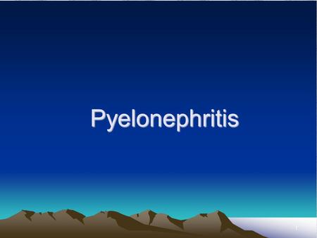 Pyelonephritis.