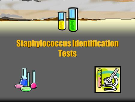 Staphylococcus Identification Tests