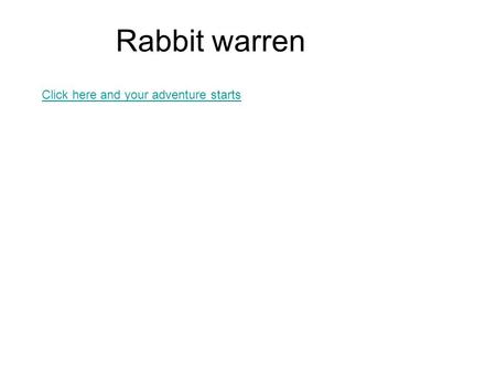 Rabbit warren Click here and your adventure starts.