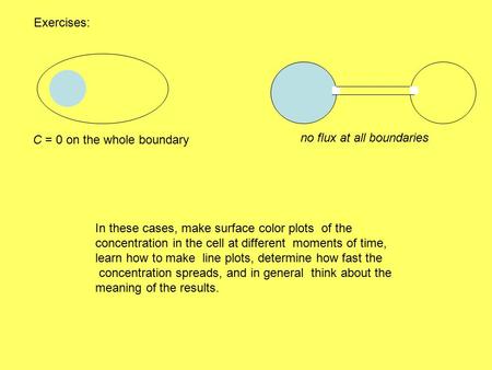 Exercises: C = 0 on the whole boundary no flux at all boundaries In these cases, make surface color plots of the concentration in the cell at different.