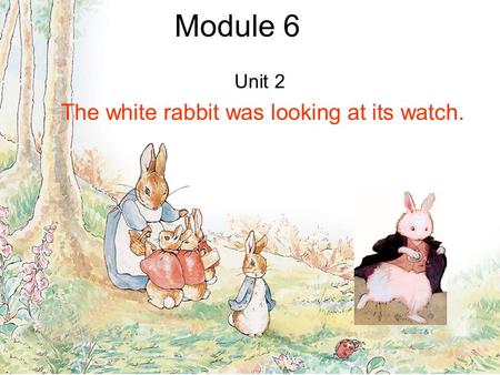 Module 6 Unit 2 The white rabbit was looking at its watch.