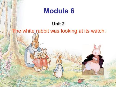 Module 6 Unit 2 The white rabbit was looking at its watch.