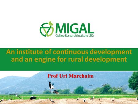 An institute of continuous development and an engine for rural development Prof Uri Marchaim.