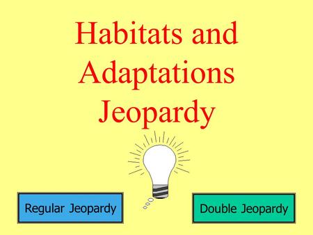 Habitats and Adaptations Jeopardy Regular Jeopardy Double Jeopardy.