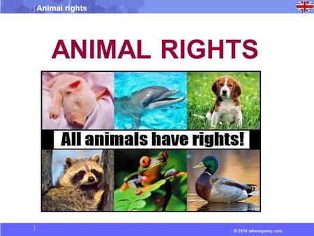 © 2014 wheresjenny.com Animal rights ANIMAL RIGHTS.