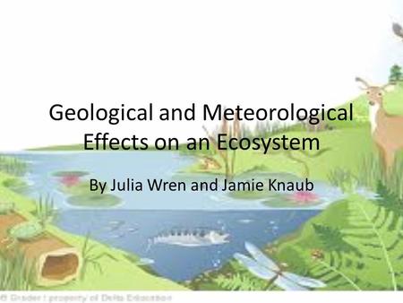 Geological and Meteorological Effects on an Ecosystem