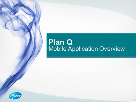 Plan Q Mobile Application Overview