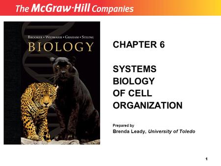 CHAPTER 6 SYSTEMS BIOLOGY OF CELL ORGANIZATION