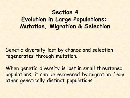 Section 4 Evolution in Large Populations: Mutation, Migration & Selection Genetic diversity lost by chance and selection regenerates through mutation.