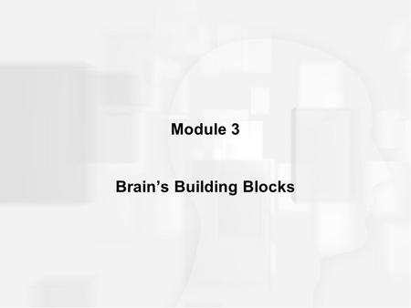 Module 3 Brain’s Building Blocks. DEVELOPMENT OF THE BRAIN fact that your brain does not develop into a nose is because of instructions contained in your.